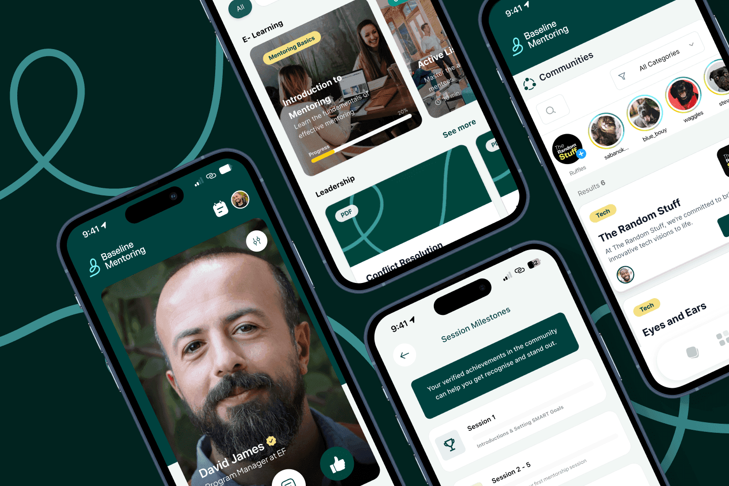 Baseline Mentoring project preview